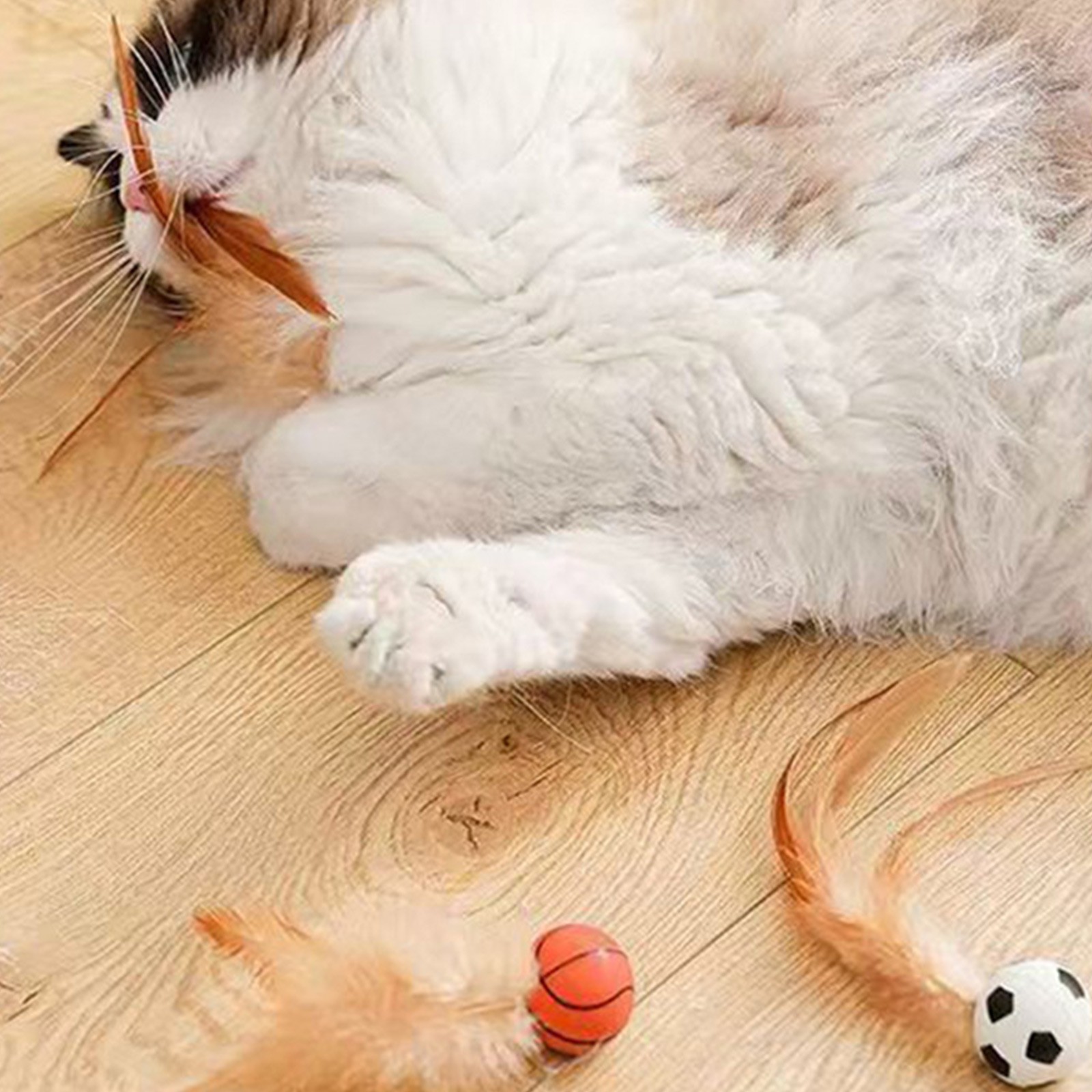 Cat Feather Ball Toys Interact - Basketball Arcade Game 评论和价格